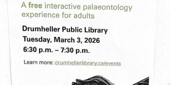 Adults Fossil vs. Rock Experience