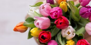 Clinic Closed Monday May 18, 2026
