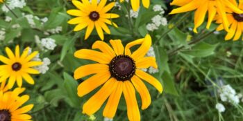 Clinic Closed - Monday September 7th, 2026